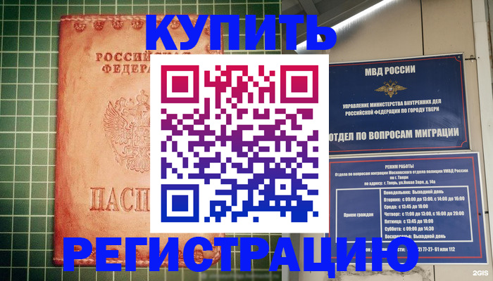 прописка поиск в Камышине